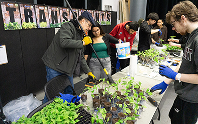 picture of the transplant giveaway